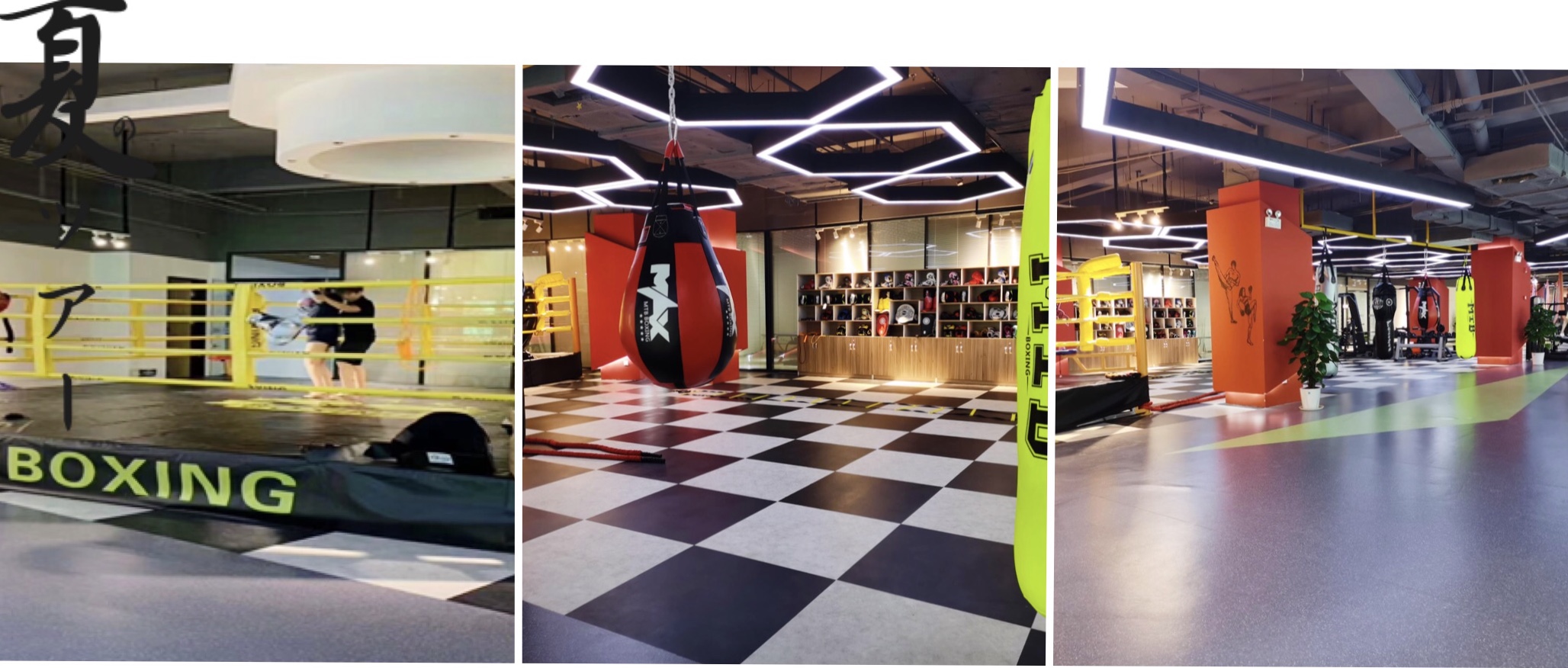 后入内射无码人妻一区